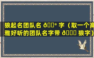 狼起名团队名 💮 字（取一个高雅好听的团队名字带 🍀 狼字）